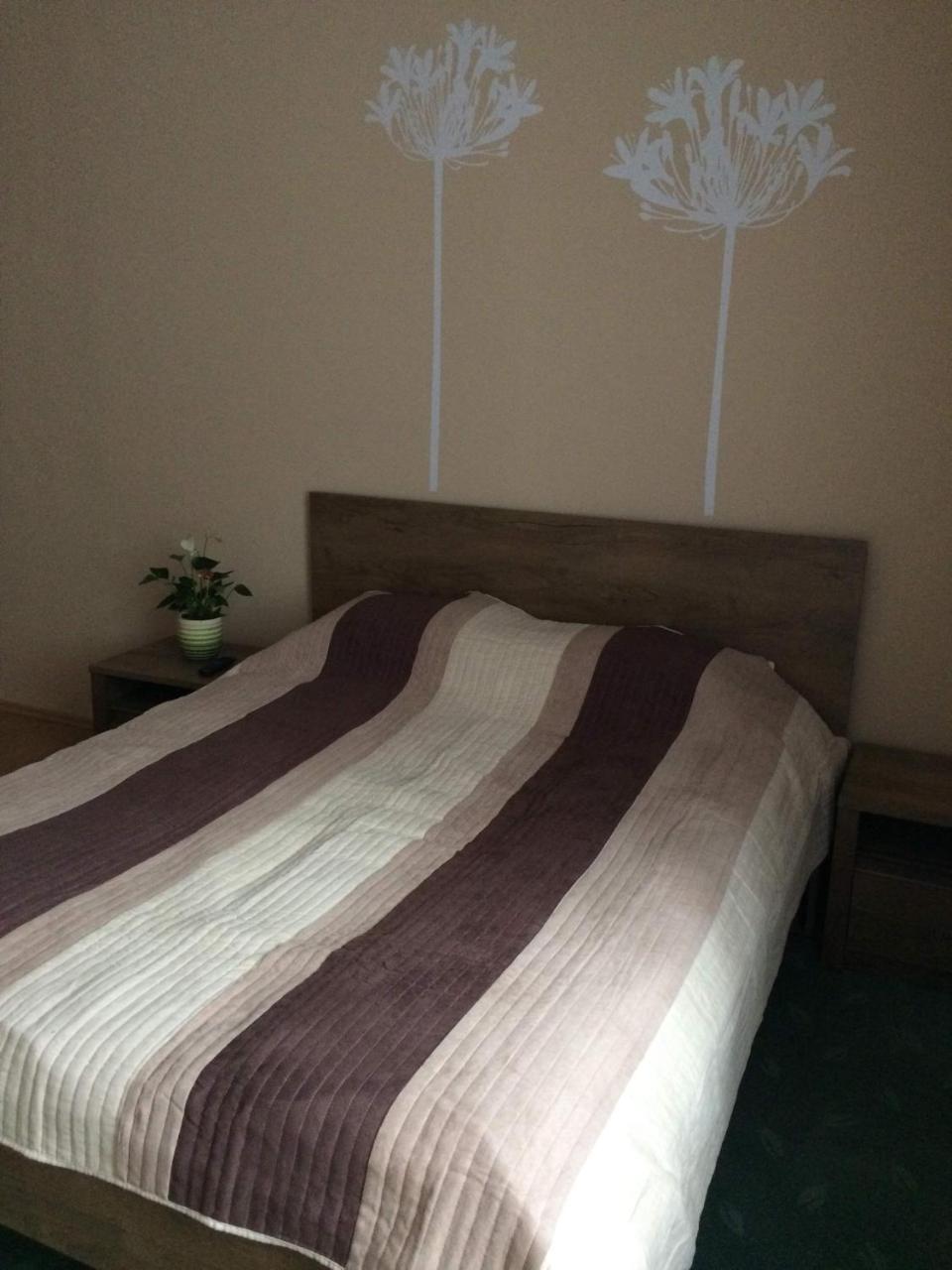 דירות מישקולץ Rigo Lak מראה חיצוני תמונה